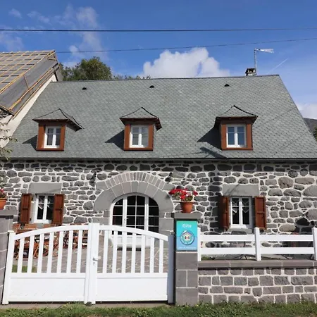 Maison De Caractere Avec Jardin Pres Des Stations De Ski, Ideale Pour Familles Et Amoureux De La Montagne - Fr-1-742-80 Vakantiehuis Paulhac (Cantal)